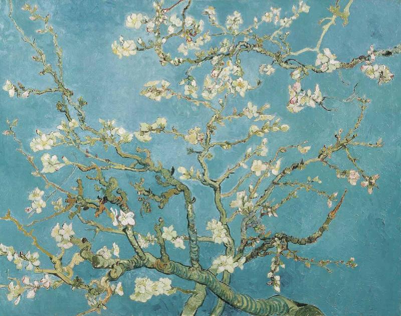 Vincent Van Gogh Almond Blossoms